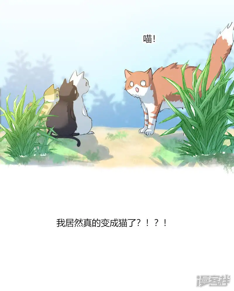 救命！我的男票是妖怪-第3话 悲惨的喵生-第8页