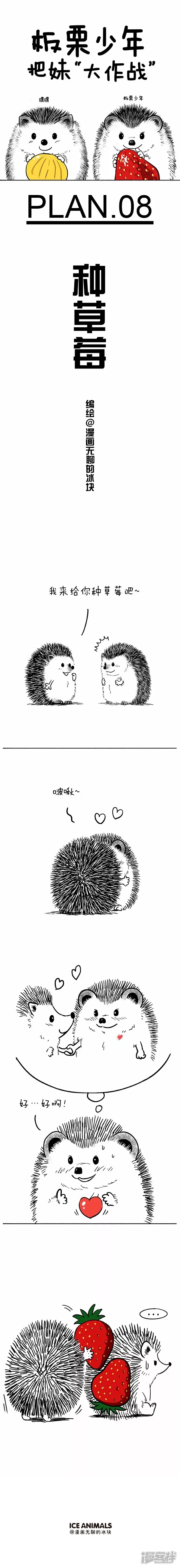 快把动物放进冰箱-063今天教大家如何种草莓-第1页
