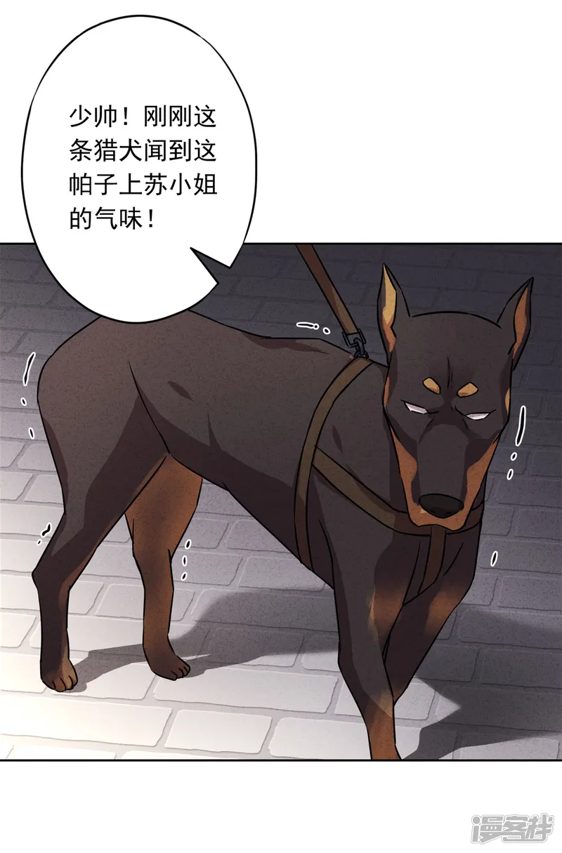 少帅,你老婆要翻天!-第32话 绑架？昏迷-第30页