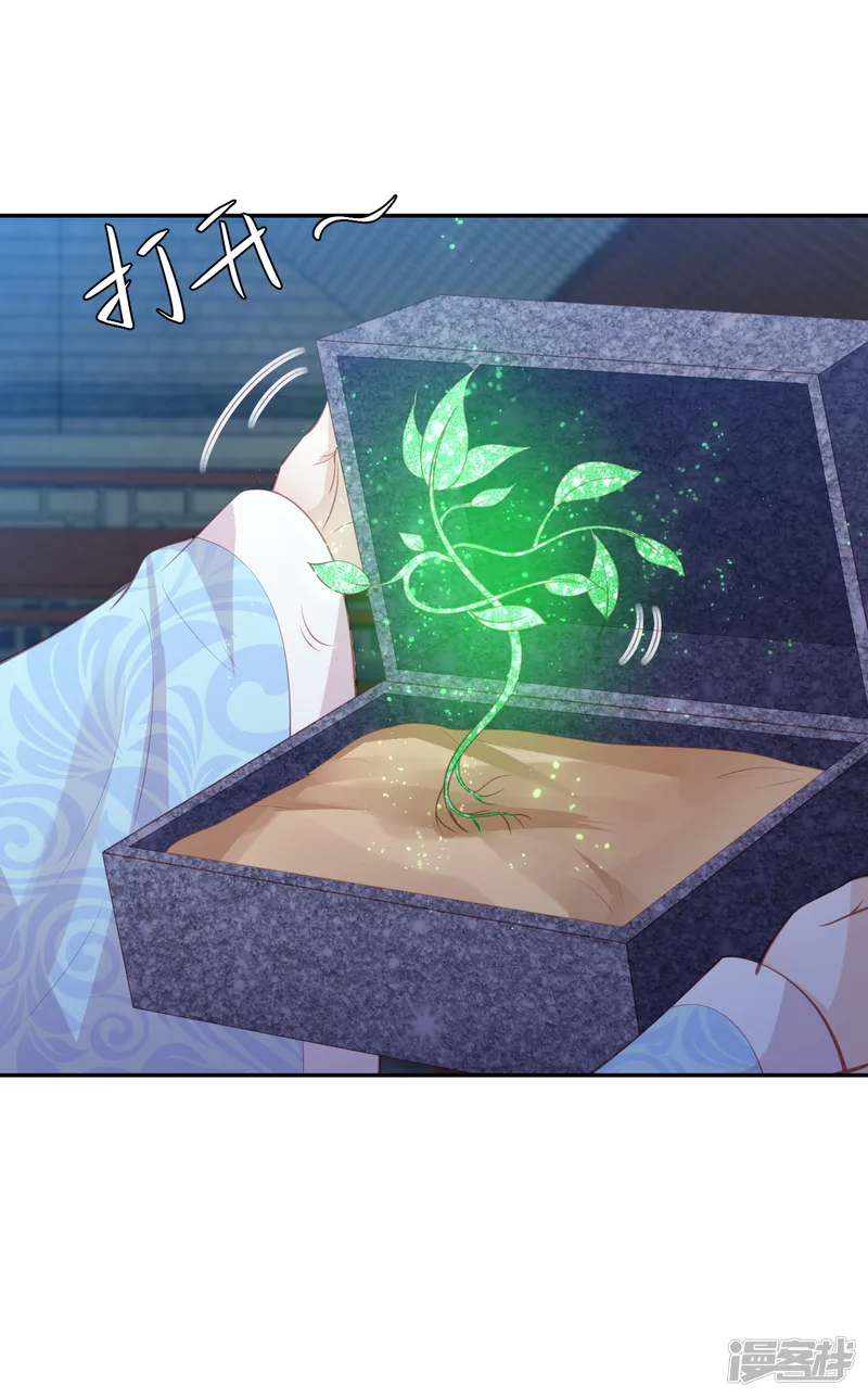 凤凰错:专宠弃妃-第129话 虚灵草-第14页