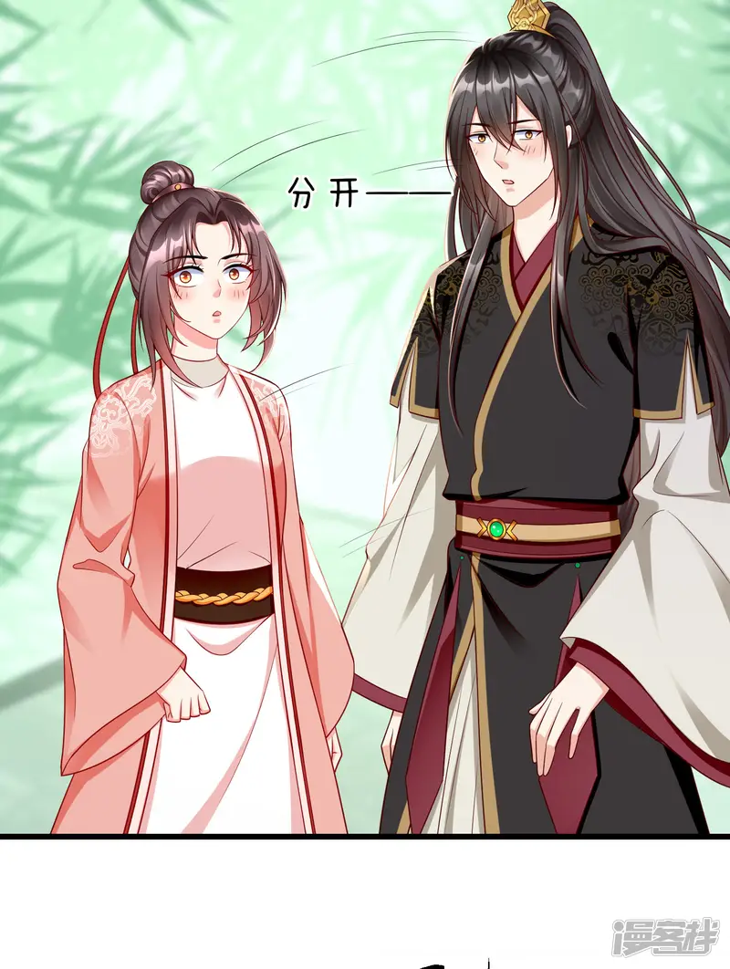 王妃是朵白莲花-第64话 刺客是皇帝的人？！-第4页