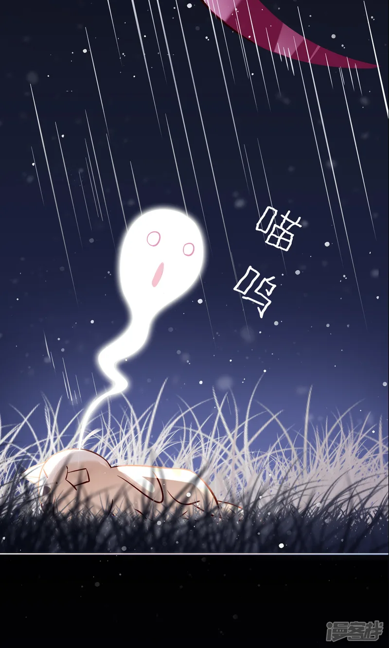 我的猫仙大人-序章 与白色精灵的相遇-第12页