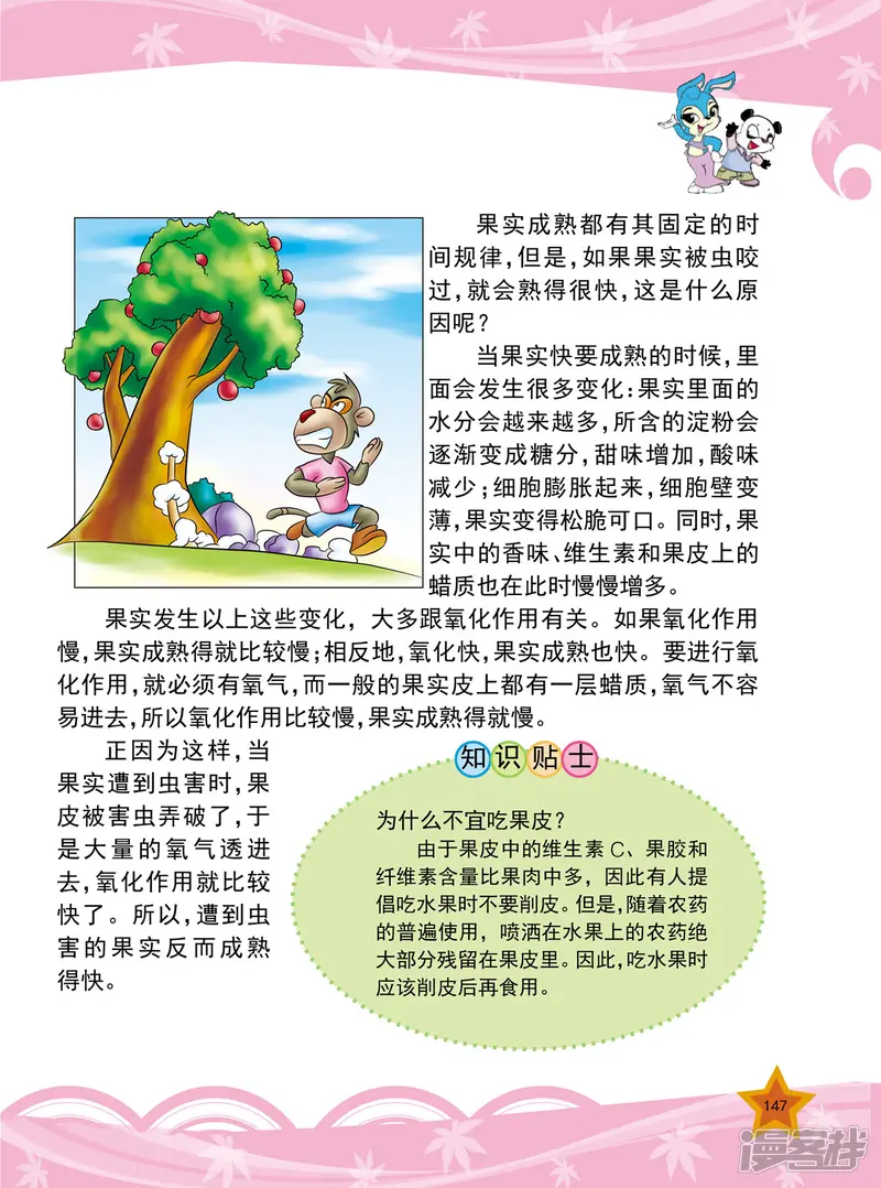 虹猫蓝兔十万个为什么之植物卷-第18话-第4页