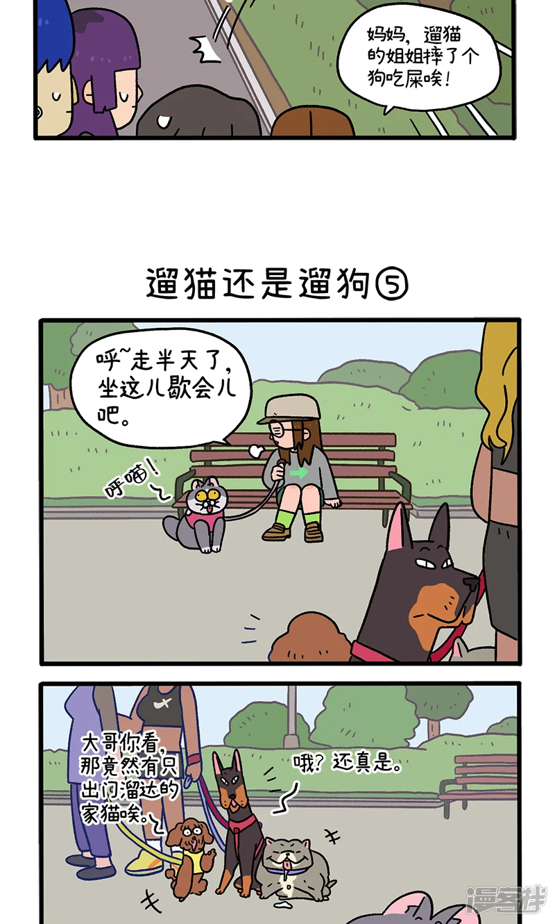 阿满和麦茶-第95话2 遛猫还是遛狗-第3页