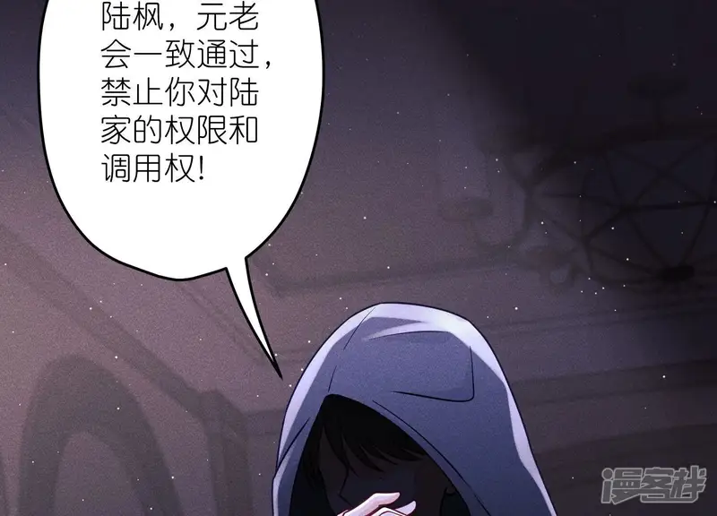最豪赘婿 龙王殿-第240话 飞入敌营-第24页