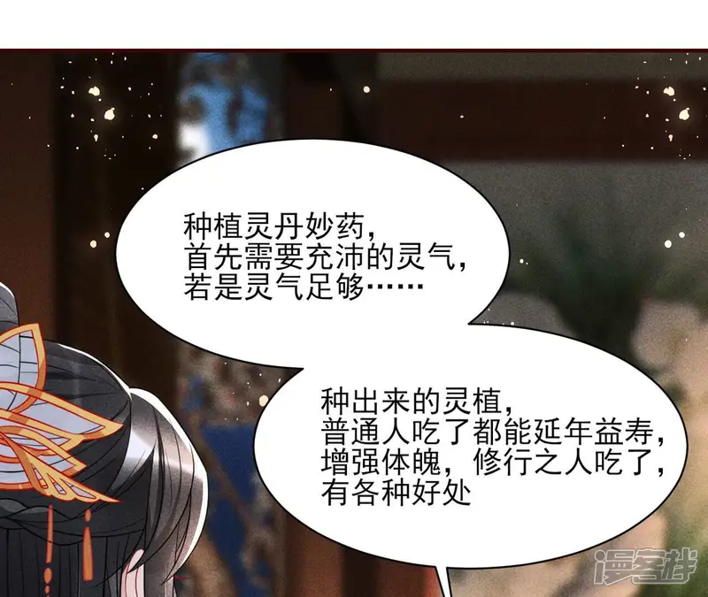 虚凰问天-第68话 王爷，不如我们做个交易？-第28页