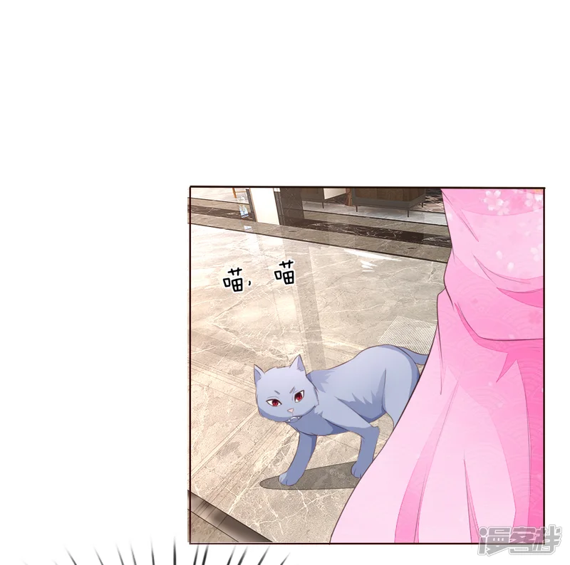 吸血鬼男神-第221话 抱歉，我们认识？-第19页