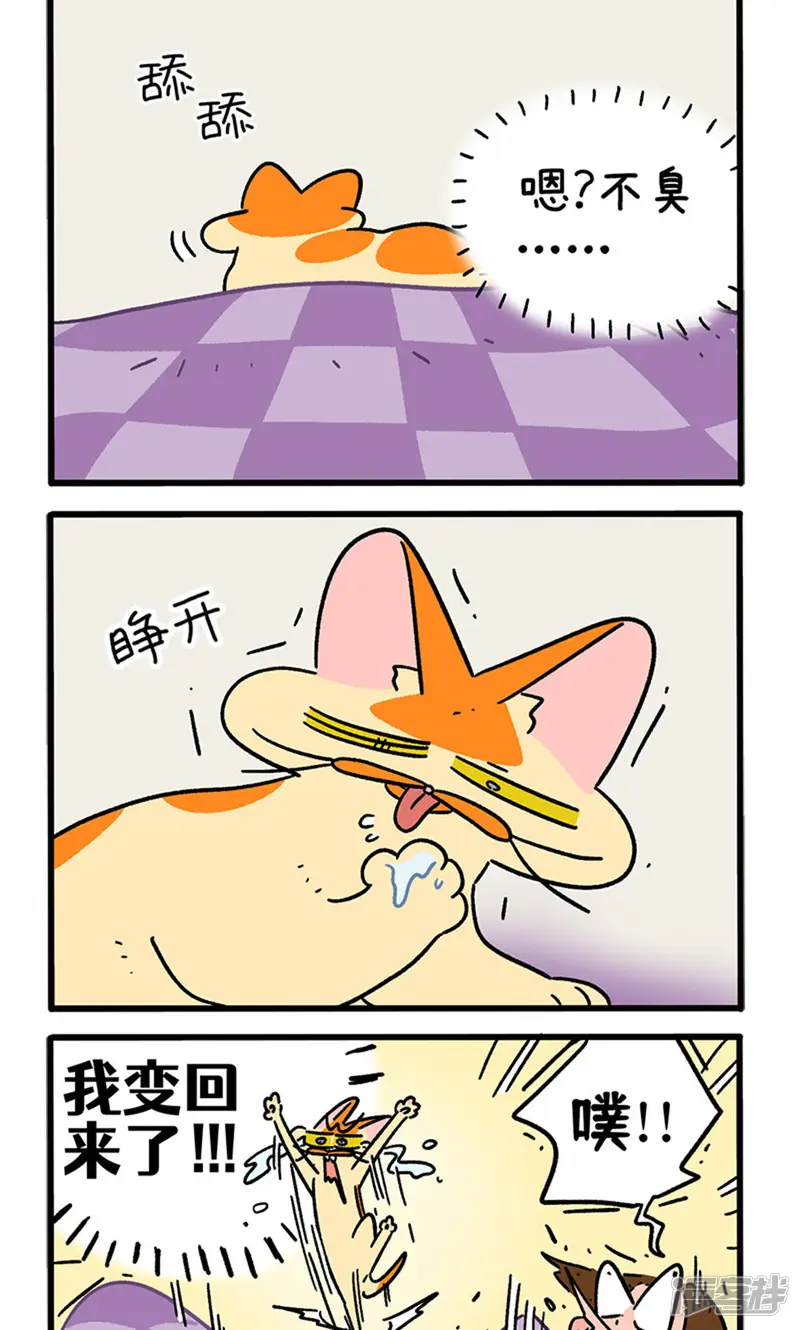 阿满和麦茶-第155话2 如果交换身体的话6-第2页