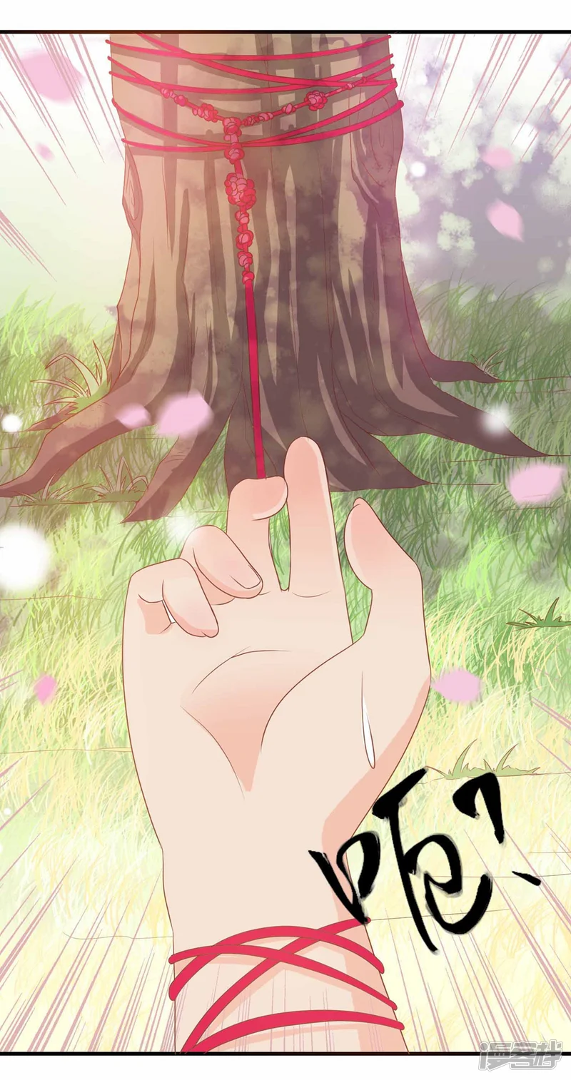 满朝文武嫉恨我-第5话 姑娘我们玩个游戏-第37页