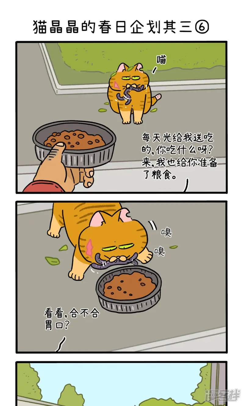 阿满和麦茶-第158话2 猫晶晶的春日企划3-第5页