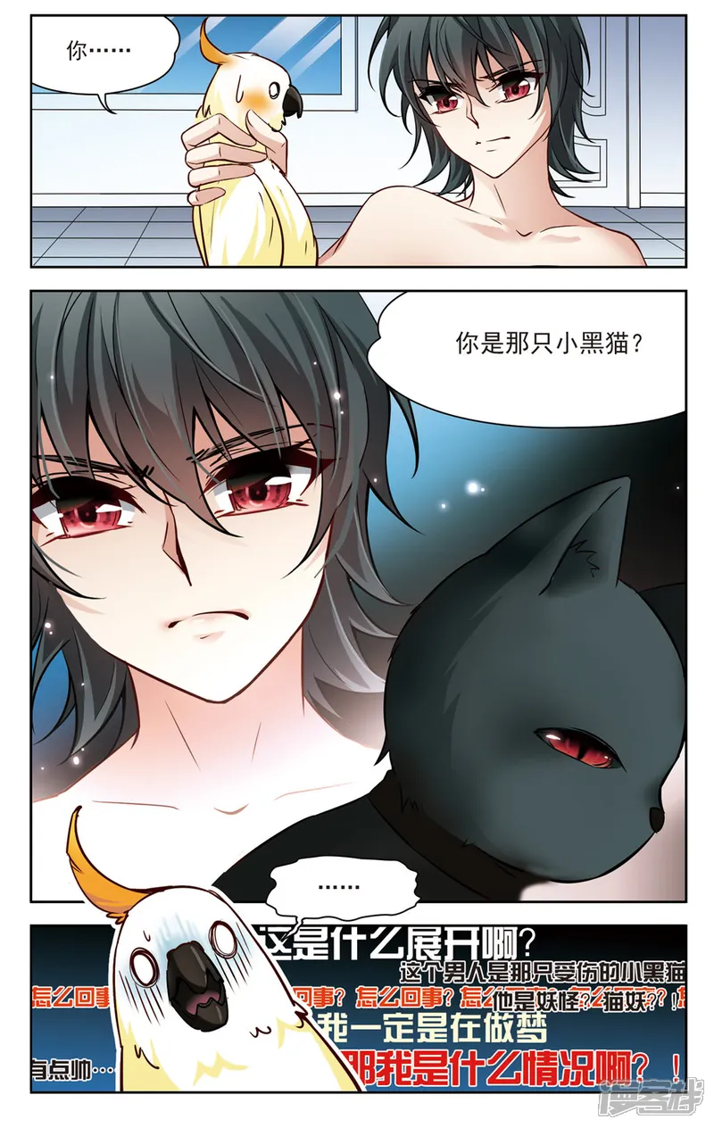 玄羽恋歌-第6话 救命！我变成鹦鹉了？！1-第5页