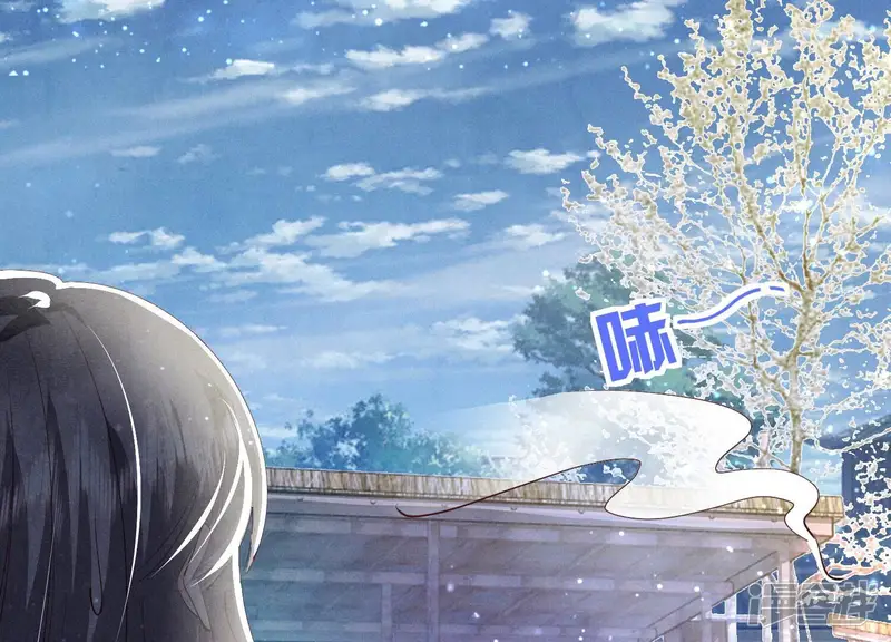 少帅每天都在吃醋2:少帅是醋精-第68话 雾隐村-第174页