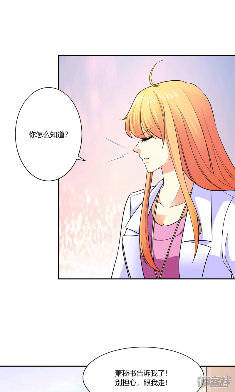 铲屎官也要谈恋爱-第44话 纯金式装修-第4页