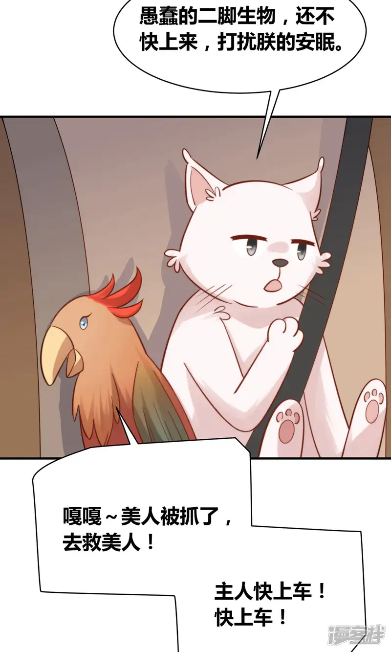 铲屎官也要谈恋爱-第49话 猫成精了-第26页