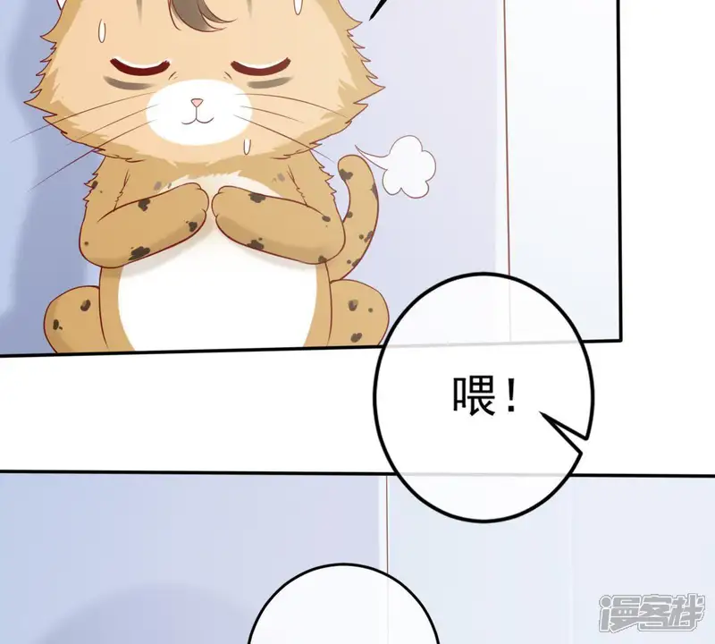 世无良猫-第29话 追妻火葬场-第14页