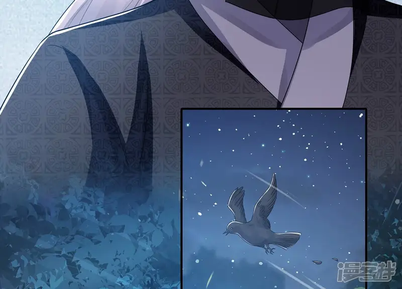 反派宠妃太难当-第135话 刺杀-第29页