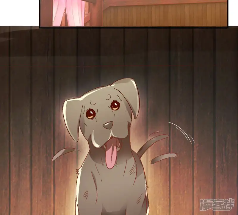 王夏传-第138话 我不是兽医-第41页