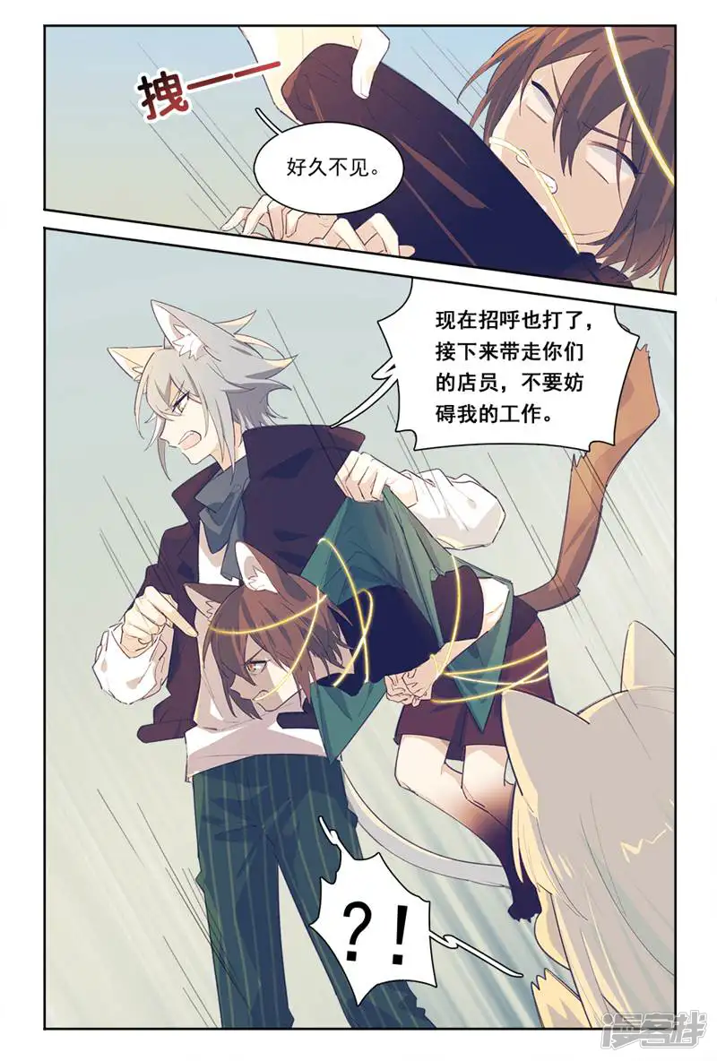 王子殿下是猫-第87话-第6页