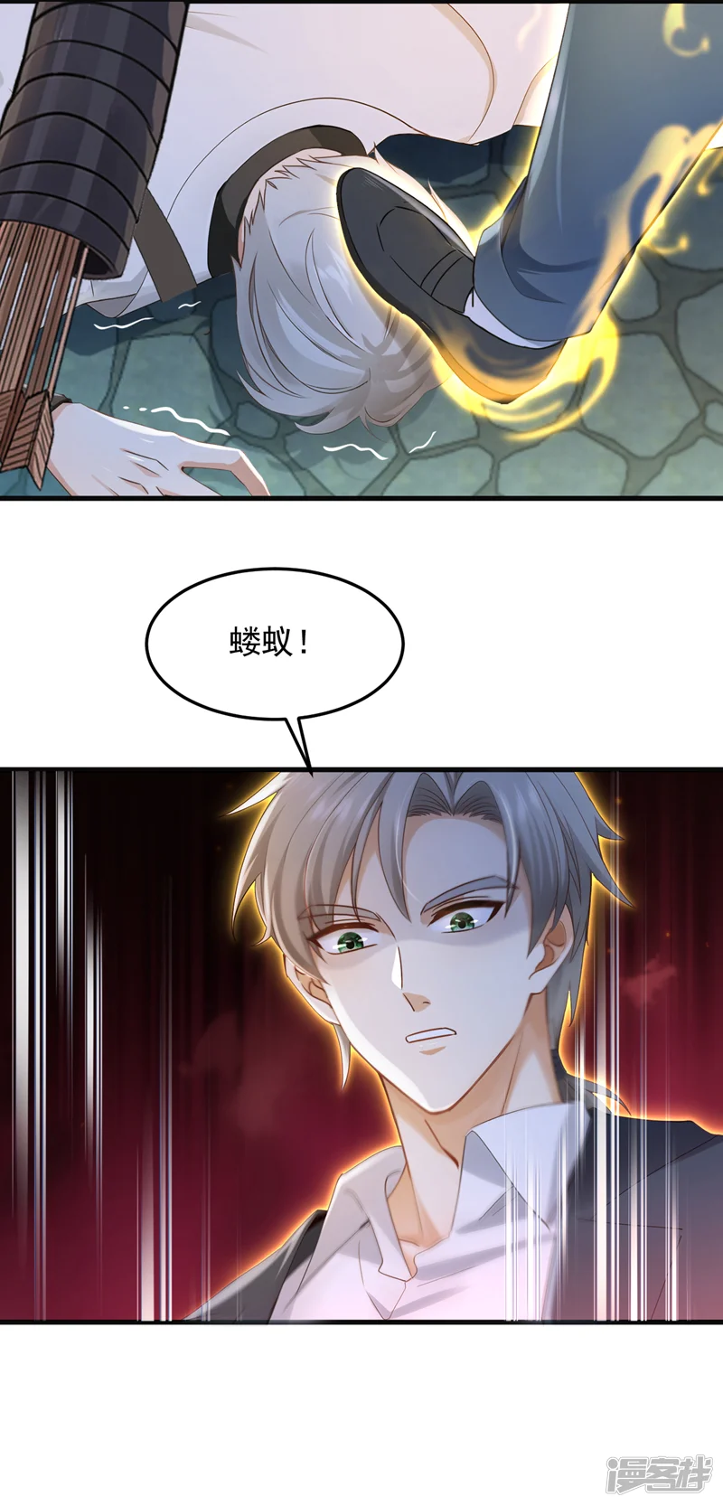镇国神婿-第314话 他晋入神变境了！-第10页